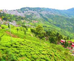 Gangtok Honeymoon Trip